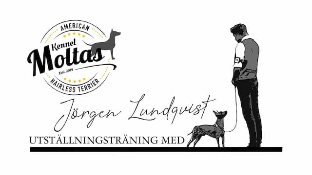 Stå och Hanteringsträning med Jörgen Lundqvist